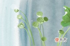 2019年9月11号属猪出生日的命运解析(图文)