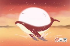 2019年5月17号属猪出生日的命运解析(图文)