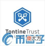 比特币是什么| TON币/TontineTrust是什么？TON币相关信息介绍