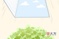 2019年8月13号属猪出生日的命运解析(图文)