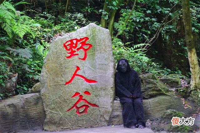 神农架野人频频出没：近千人声称见到野人，三次考察揭开真相