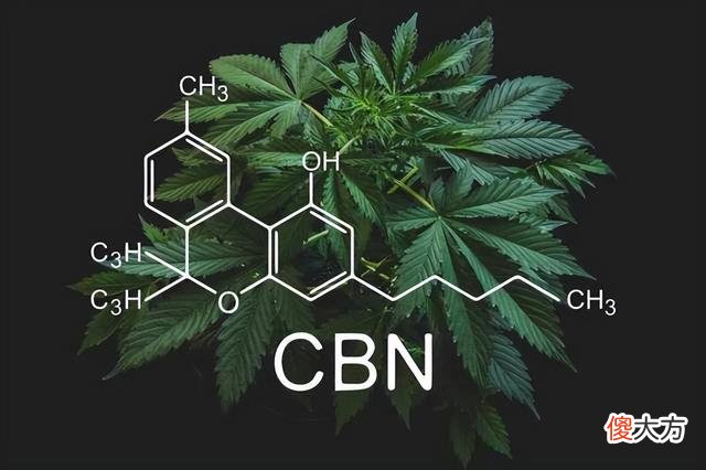 真相竟是种植大麻？澳大利亚惊现粉红夜空，当地居民怕是世界末日