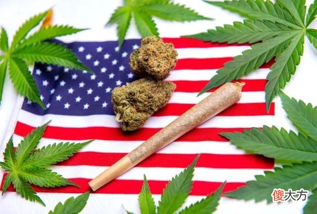 真相竟是种植大麻？澳大利亚惊现粉红夜空，当地居民怕是世界末日