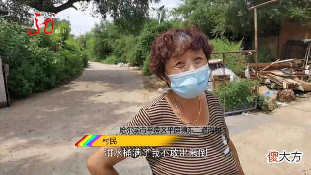 一夜之间！哈尔滨一村被大量怪虫包围，村民不敢出门，鸡鸭也不吃