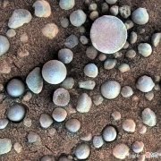 火星上发现了“蘑菇”和“蓝莓”，三天长大一圈，真的有生命？