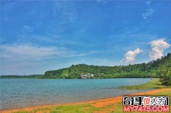 湖光岩水怪多年频繁出现 甚至有了龙鱼的传说