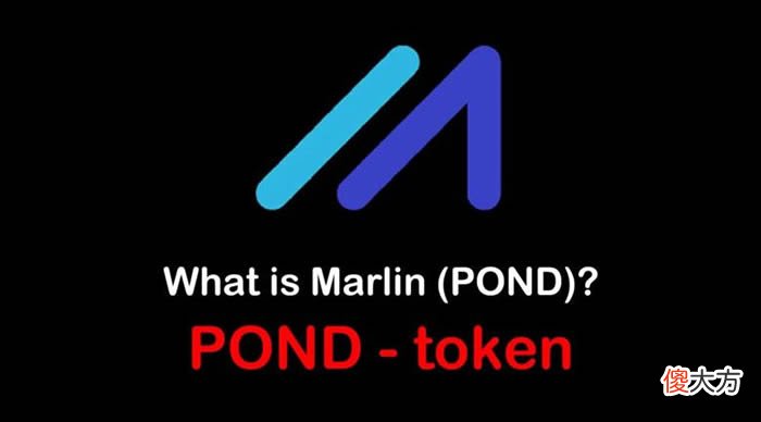 POND币| POND是什么币种?POND币前景和价值深度分析