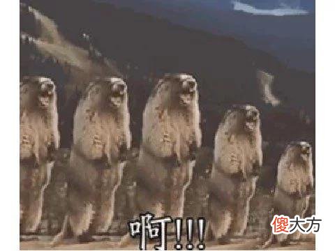 【游戏迷】最狂游戏策划，七夕上架恋爱游戏，竟纸片人递刀把玩家整崩溃！