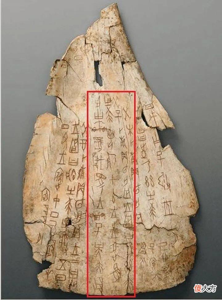 【爱历史】甲骨文记载了史上最早的一场羌人祸害，那“宜”是什么意思？