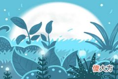 2018年5月31号属狗出生日的命运解析(图文)