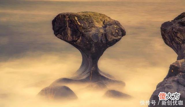 【十二星座】8月，鲤鱼跃龙门，好运随身，好事成双，财运红火的3个生肖