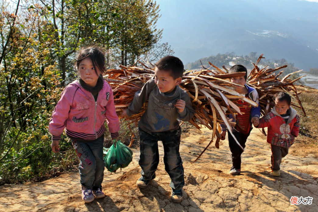 钱多孩子少，钱少孩子多？生娃的这些原因很真实，让人无从反驳