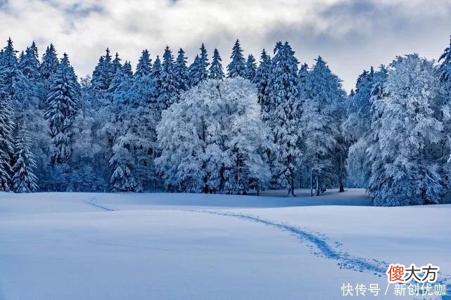 【星座控】8月，锦鲤相随，福禄花开，诸事顺心，让人羡慕的3个生肖