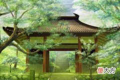 小富贵竹什么寓意意思