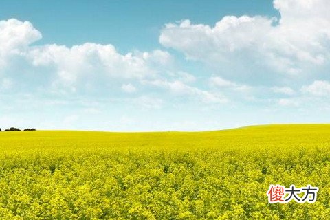 十字路口扔硬币转运正确方法