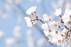故意丢钱去霉运方法有用吗