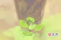 测试你的爱情需要物质基础吗(图文)