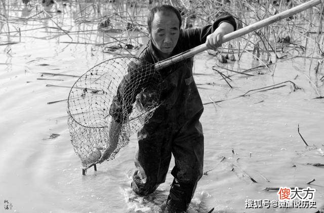 【爱历史】农村大叔带“压缸石”鉴宝，宝贝看着不起眼，专家估价超3亿