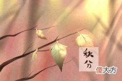 秋分后第一个节气 秋分是什么意思(图文)