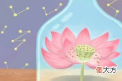 测你会坚守自己的立场到什么时候(图文)