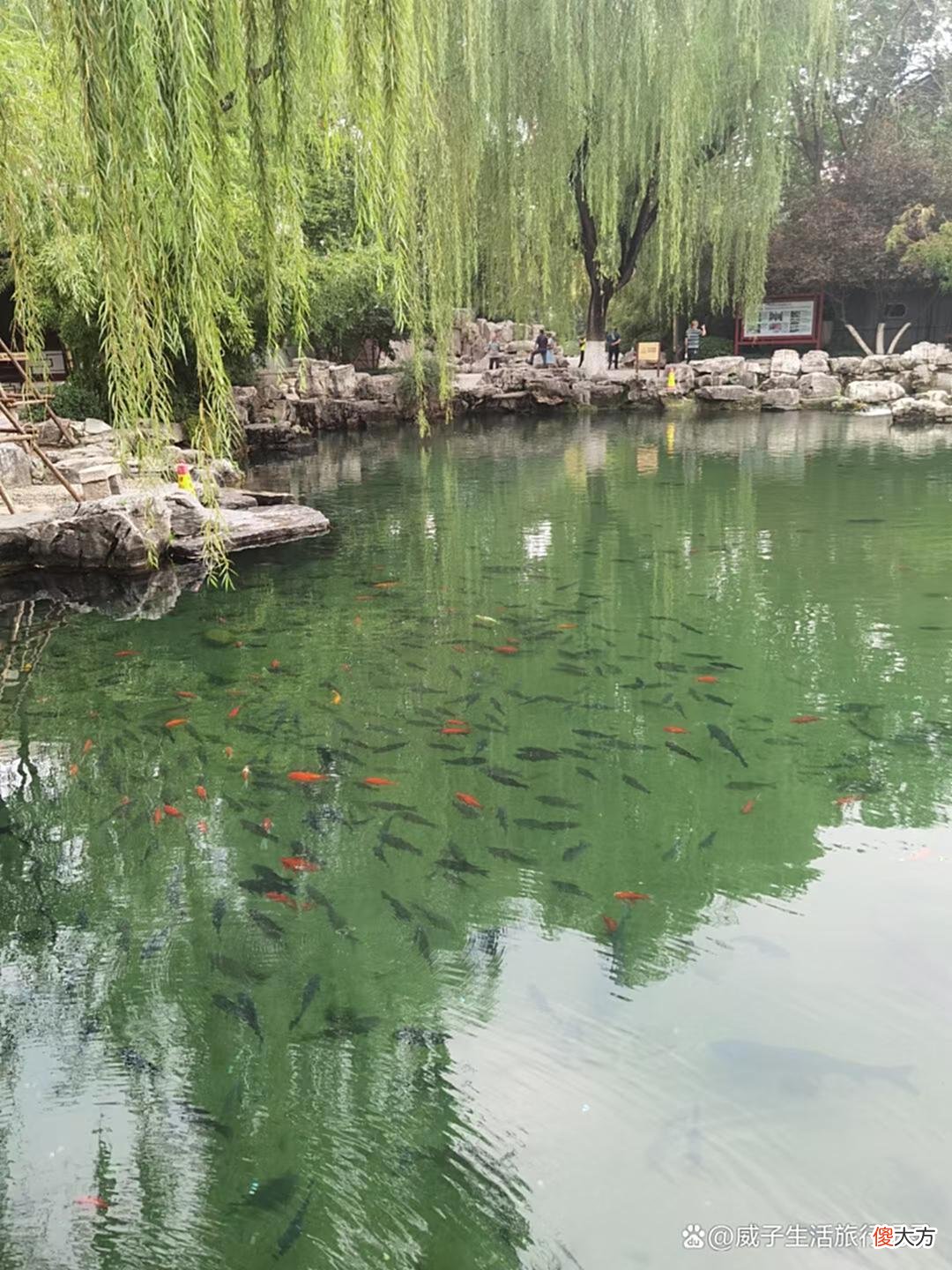 【爱历史】济南趵突泉是谁起的名字，又是谁封天下第一泉，又离不开这位皇帝