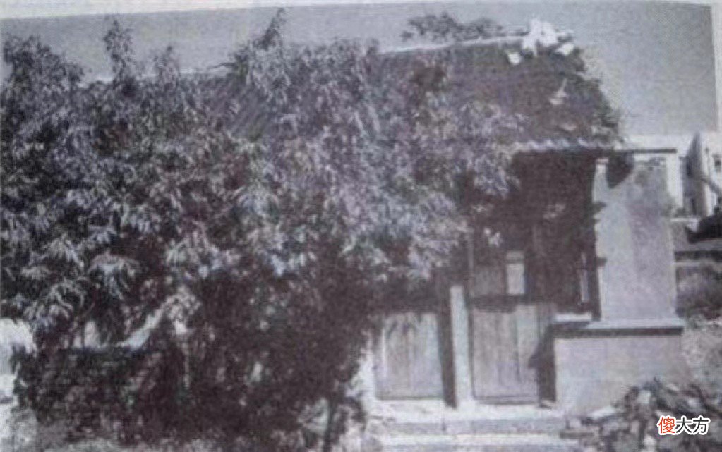 【爱历史】东北女匪驼龙真容：确实漂亮，张学良都想一睹芳容，24岁被枪决