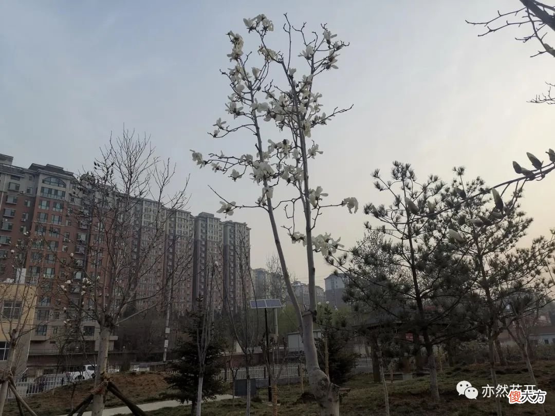 【游戏世界】小说写作中的远征情节模式