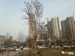 【游戏世界】小说写作中的远征情节模式