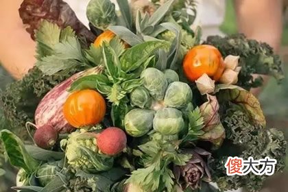 喜欢哪束水果花 测你会成为隐形贫困户吗(图文)