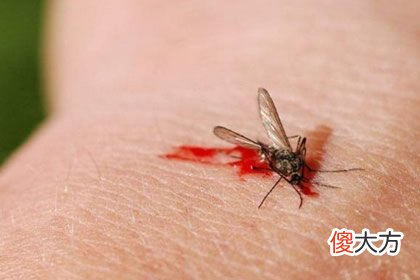 哪只蚊子刚吸完血 测你的智商能超越多少人(图文)