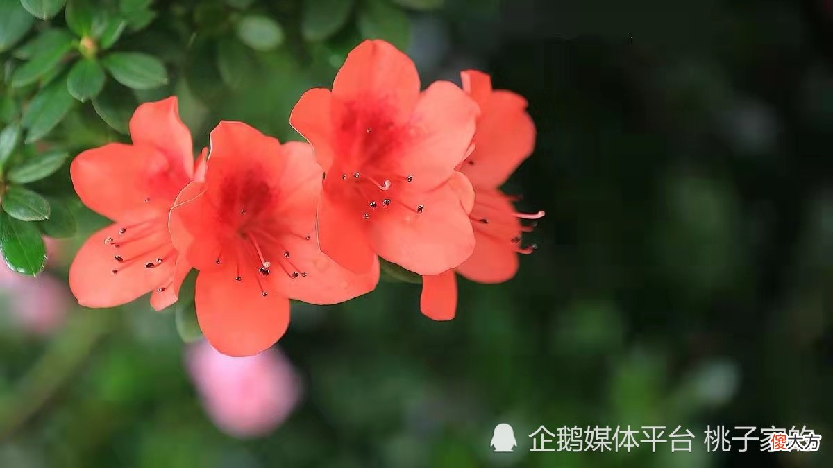 父母应该把存款数目告诉给子女吗？到了晚年，明智的父母这样做