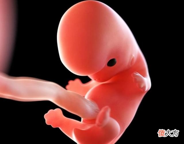 怀孕1-10个月，每月孕妈和宝宝有何变化？送你一份“孕期清单表”