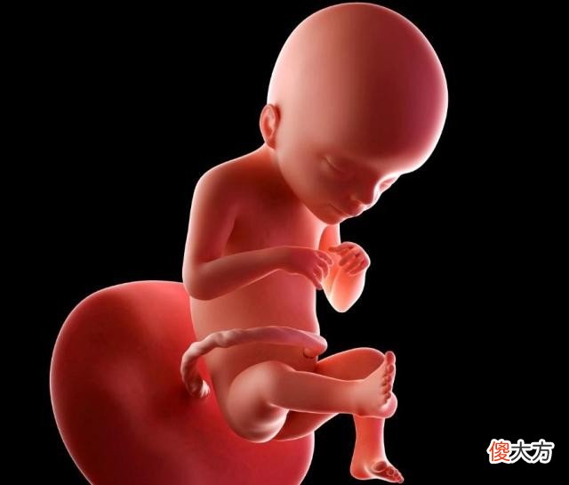怀孕1-10个月，每月孕妈和宝宝有何变化？送你一份“孕期清单表”
