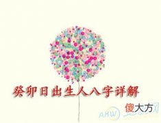 癸卯日出生人八字详解(图文)
