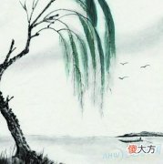 壬午癸未杨柳木(图文)