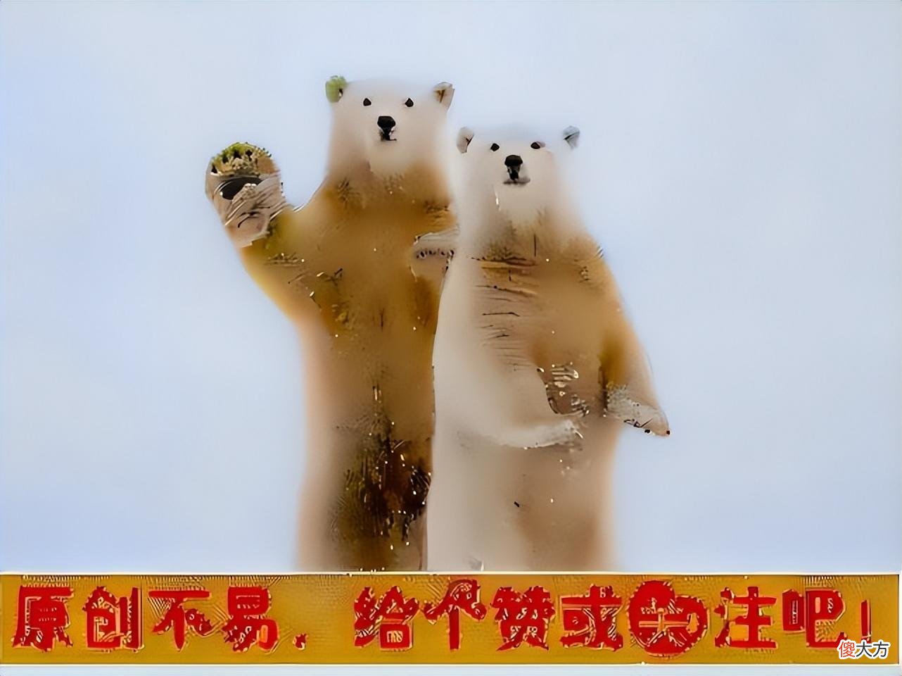 阿德勒：自卑就对了！教育就是利用人的自卑