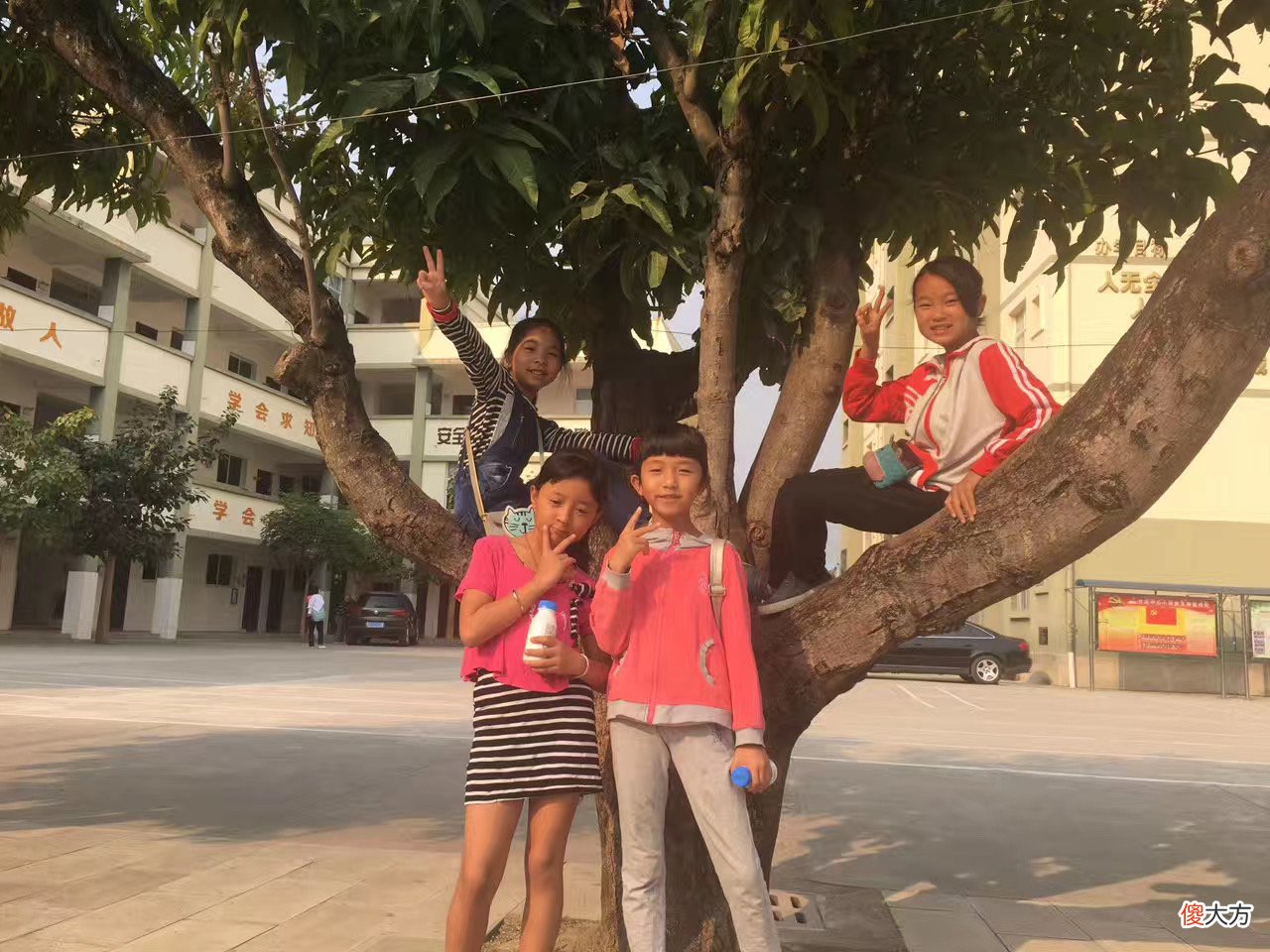一个青春期女孩的独白：家长领悟不了这3点，后果很严重！