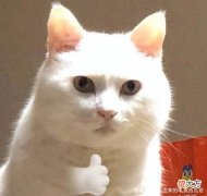 【游戏世界】DNA深处的记忆回来了？这款沉寂已久的游戏忍不住让人直呼爷青回