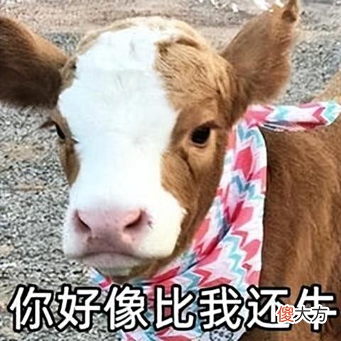 【游戏迷】以毒攻毒？小叔沉迷赌牌，结果玩传奇拯救了他，还成功维护家庭？