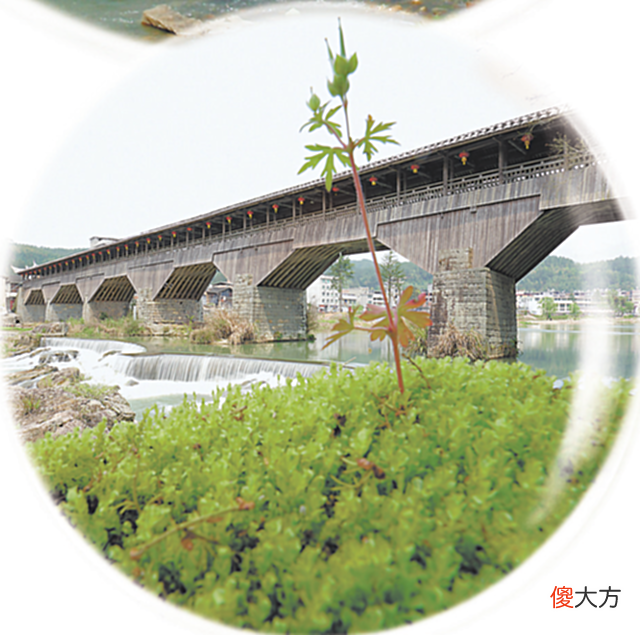【爱历史】痛心!我国现存最长木拱廊桥屏南万安桥或已烧毁坍塌,原因正调查