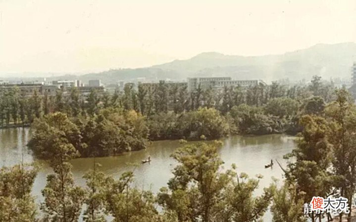 【历史故事】老城记忆，老照片带你看1984年南充