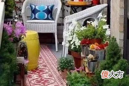 想拥有哪个花阳台 测你会被闺蜜坑惨吗(图文)