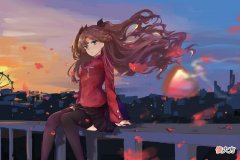 【游戏迷】FGO：狂光炮跟仇凛使用场景有啥区别吗？狂光炮的泛用性更好！