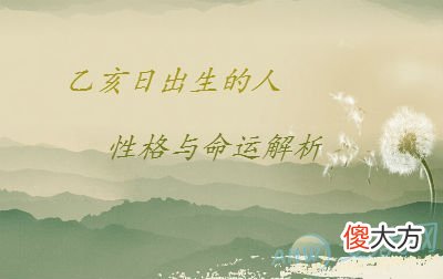 乙亥日出生的人性格与命运解析(图文)