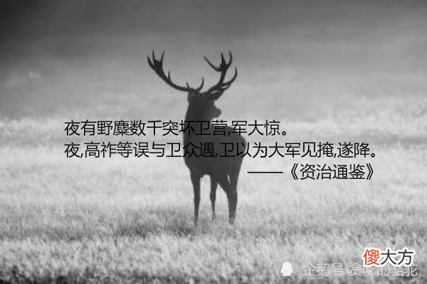 【历史故事】三国中最魔幻的一战，《三国演义》没写，主角不是人而是动物