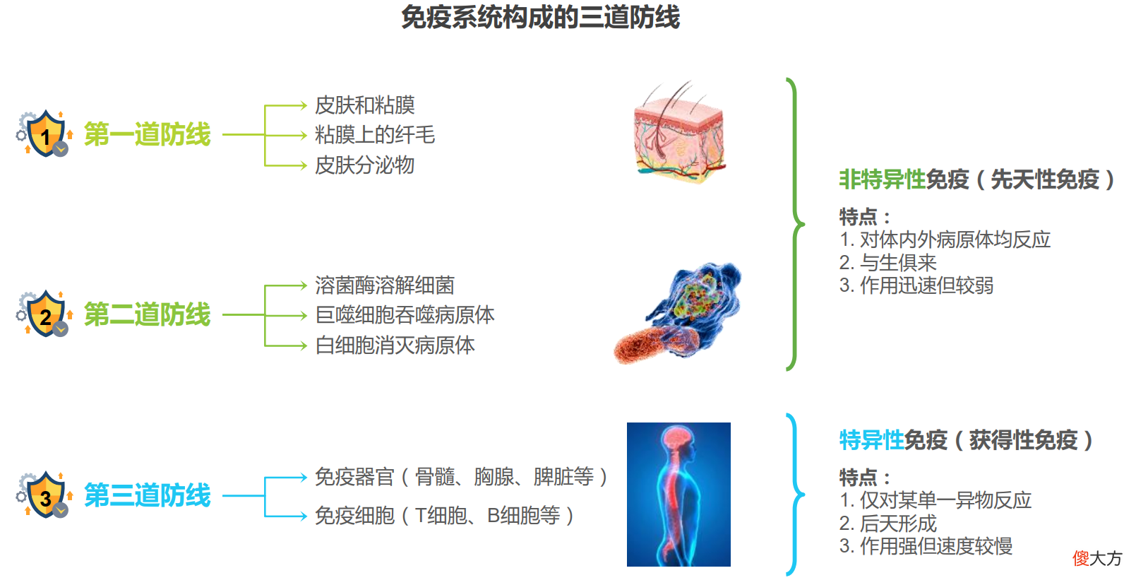 生产第3年,不用喂娃不用起夜了,为什么宝妈的身体却大不如前?