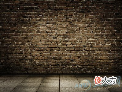 庚子辛丑壁上土(图文)