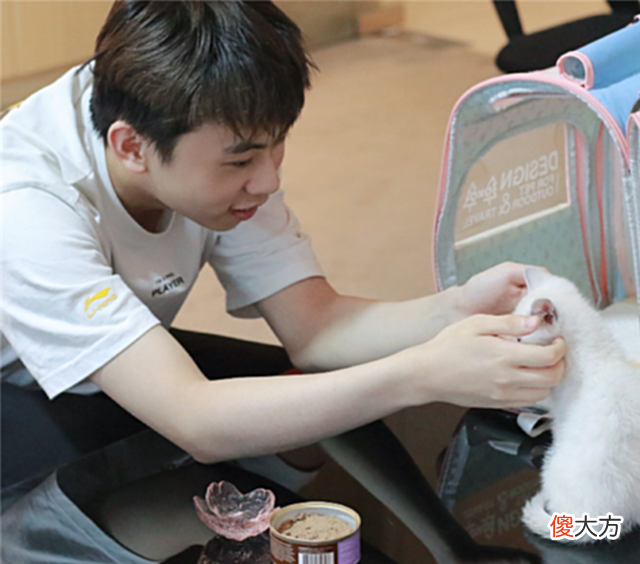 【游戏世界】宁王力挺pandaC:他不菜只是压力太大,阿乐心态崩了,开播落泪?