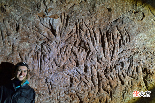 巴西出现13000年前的隧道,不是人类建造,是史前文明的痕迹吗?