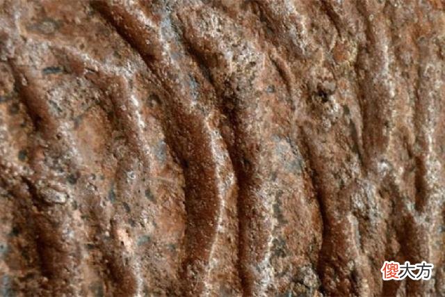 巴西出现13000年前的隧道,不是人类建造,是史前文明的痕迹吗?